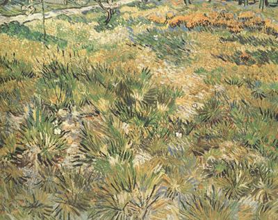 Vincent Van Gogh Meadow in the Garden of Saint-Paul Hospital (nn04)